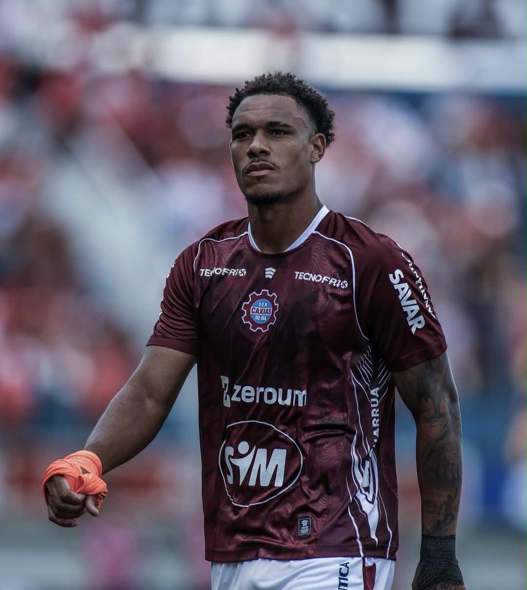 Gustavo Nescau - Foto 5