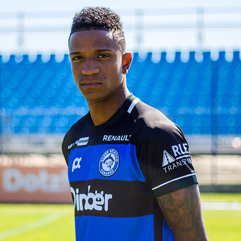 Vinicius Baiano - Foto 6