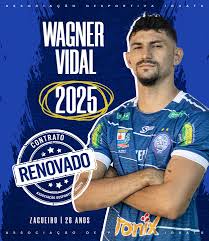Wagner Vidal - Foto 4
