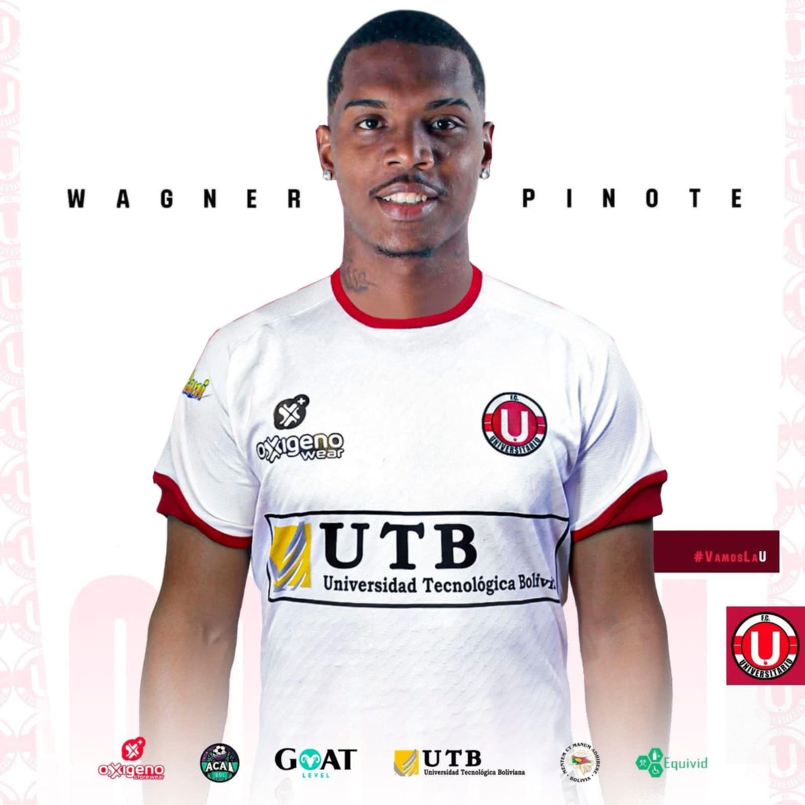 Pinote - Foto 3